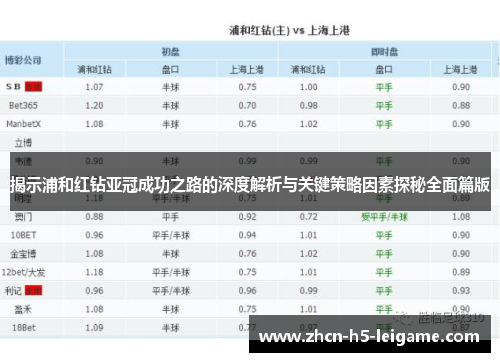 揭示浦和红钻亚冠成功之路的深度解析与关键策略因素探秘全面篇版